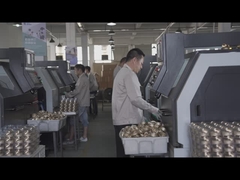 Línea de producción de resortes Beishun Brisk