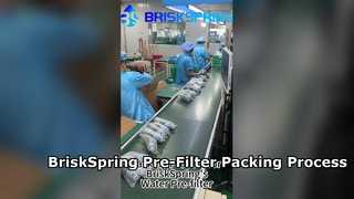 Cómo se empaquetan los prefiltros de agua en la fábrica | Proceso de fabricación de BriskSpring
