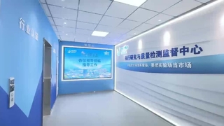 Centro de Supervisión y Pruebas de Investigación y Calidad-BriskSpring