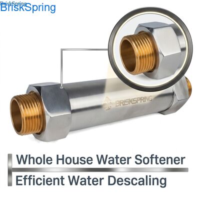 Descalcificador de agua de 1" para toda la casa, flujo de 1-2 toneladas/hora, material SS304