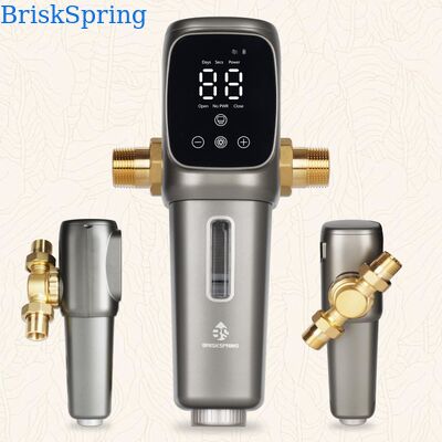 Fully Automatic Whole House Water Pre Filter with 40 Micron Precision Filtration and 6T/H High Flow Rate