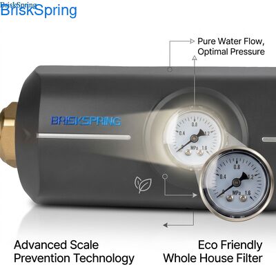 Cuerpo ABS no tóxico y ecológico, filtro antical para descalcificador de agua para toda la casa